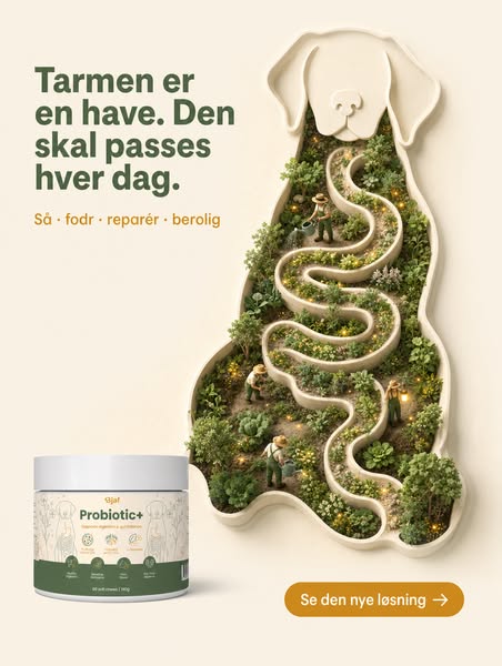 Tarm i balance - indefra