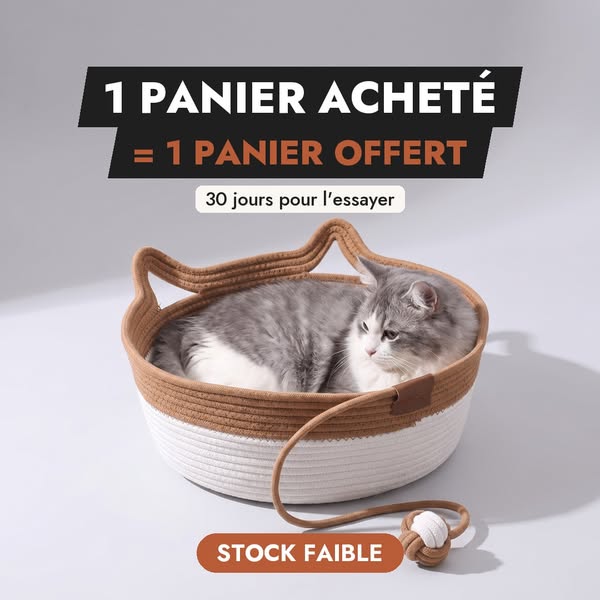 Offre exceptionnelle : 1 acheté = 1 offert