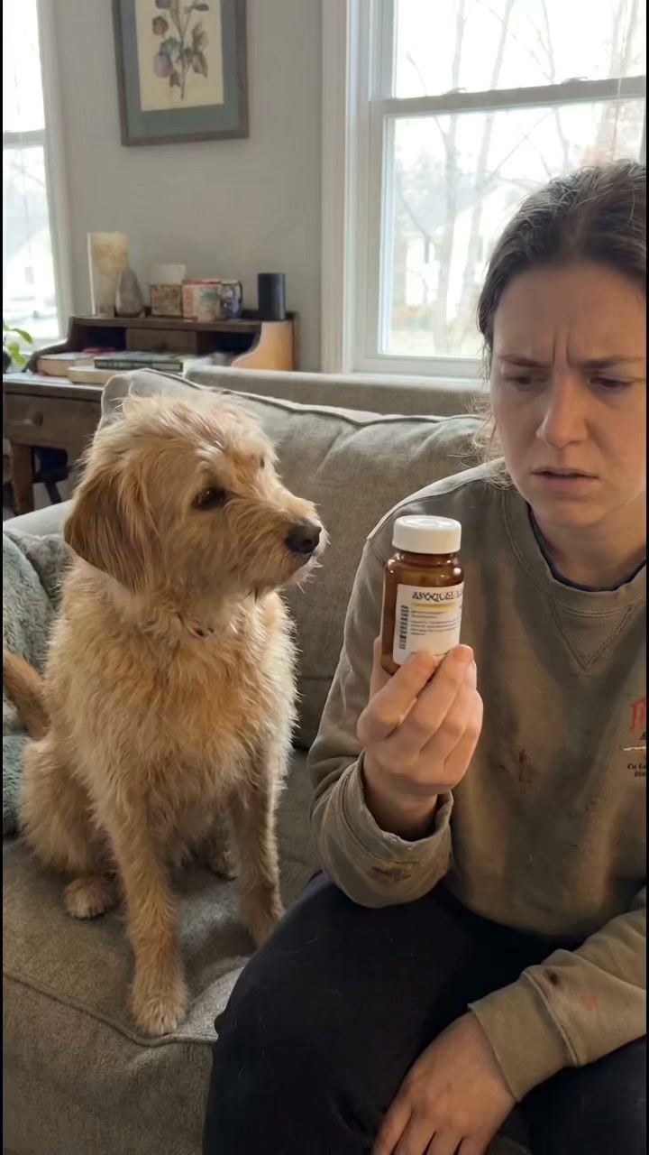Vet-Recommended Skin Supplement for Dogs