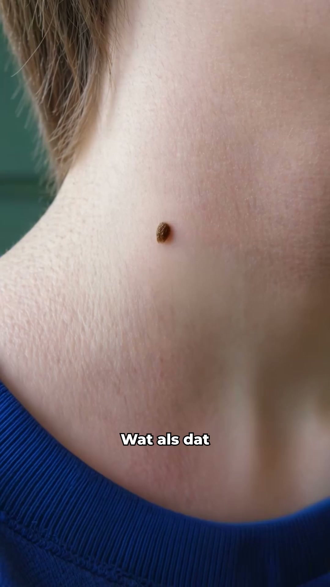 20.500+ tevreden klanten · 4,8/5 beoordeling