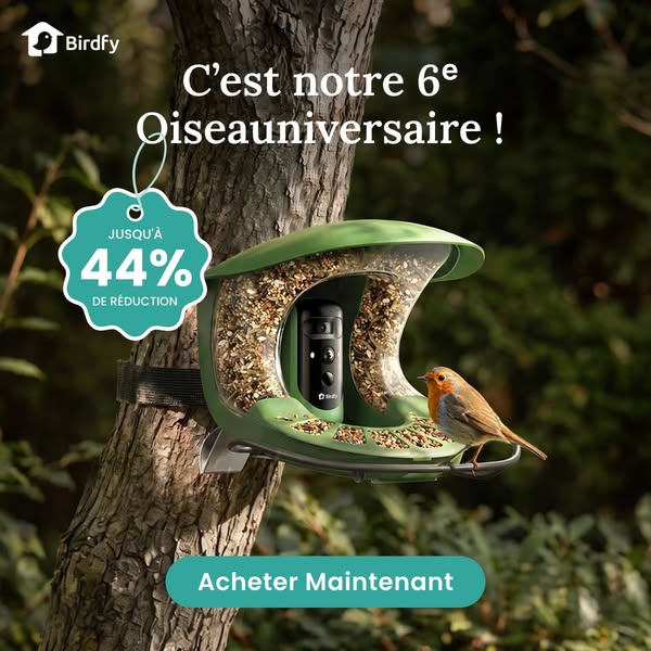 Birdfy Feeder 2 Pro - Le tout premier nourrisseur pour oiseaux intelligent à double objectif au monde