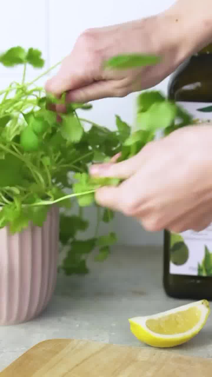 Anúncio de Evergreen Healthfoods