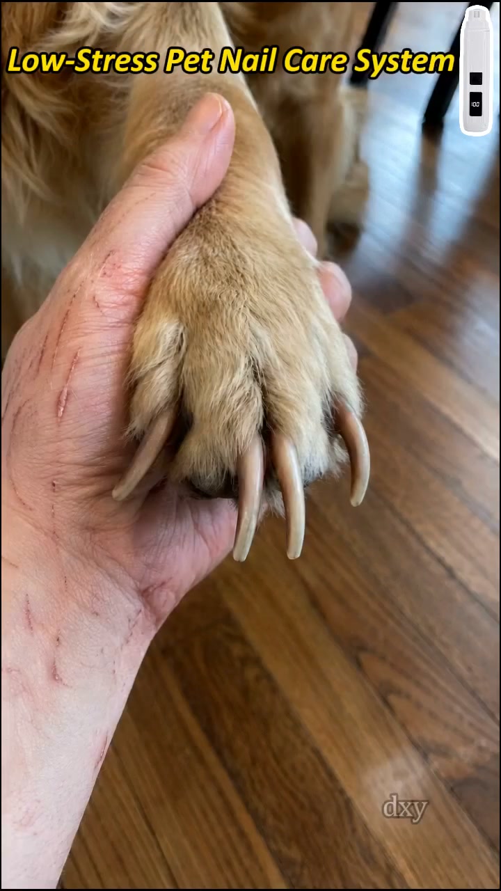 ANZEIGE: Electric Pet Nail Grinder with LED Power Display