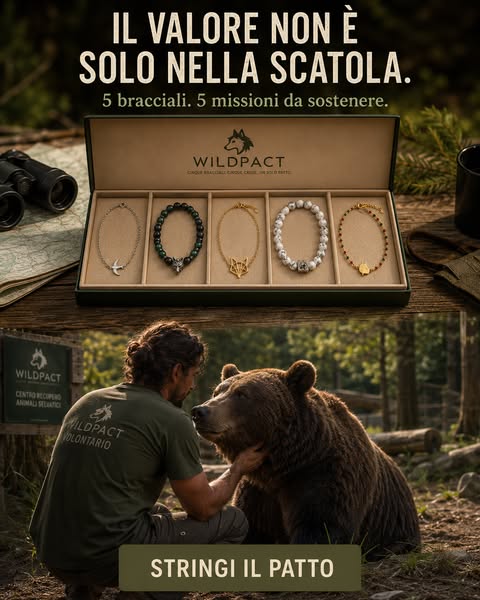 Stringi oggi il Patto