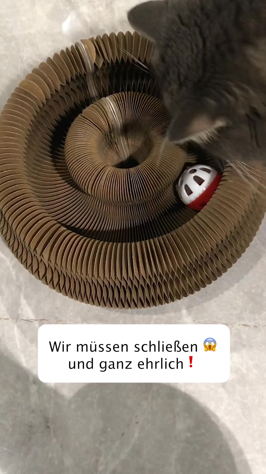 1+1 Neukunden Angebot