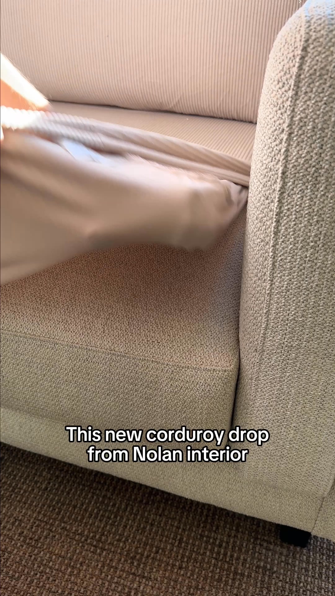 Soft Thick & Actually Protects Your Sofa