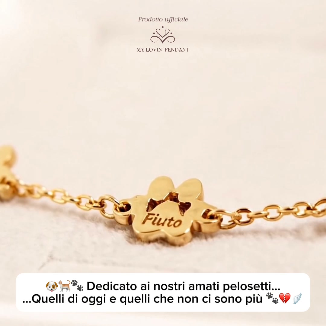 Porta i tuoi amici pelosi sempre con te
