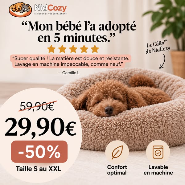 Découvrez le coussin Nidcozy