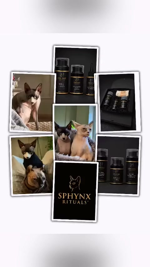 Sphynx Rituals