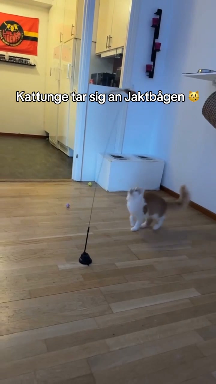 Jaktbågen - 30% REA