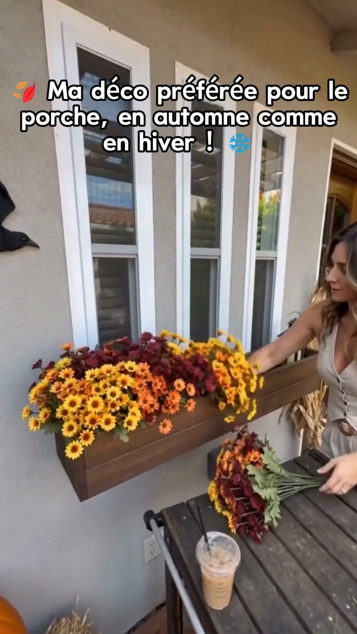 Des fleurs colorées pour l’automne et l’hiver !
