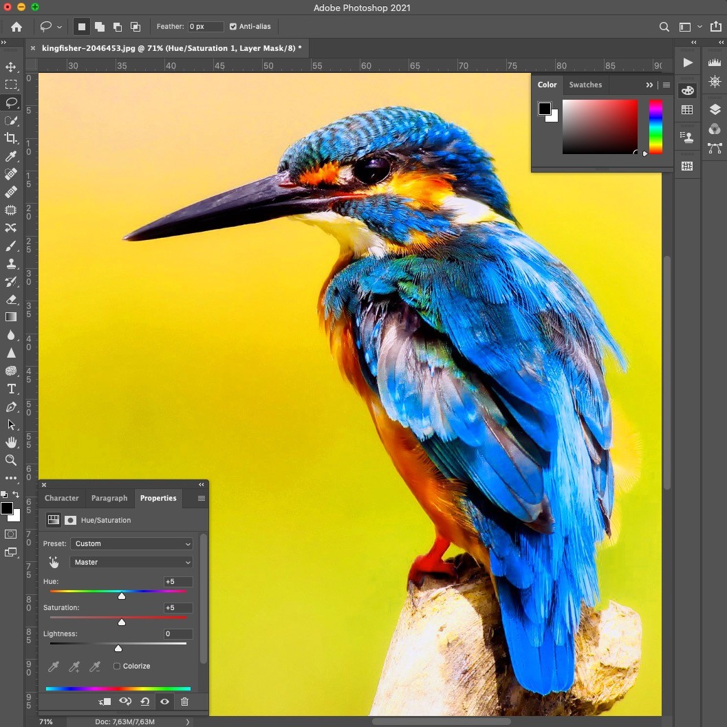 Learn and Master Photoshop!