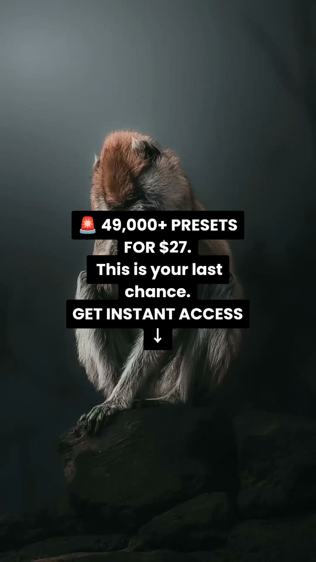 ¡ACCESS NOW! (4.9/5)
