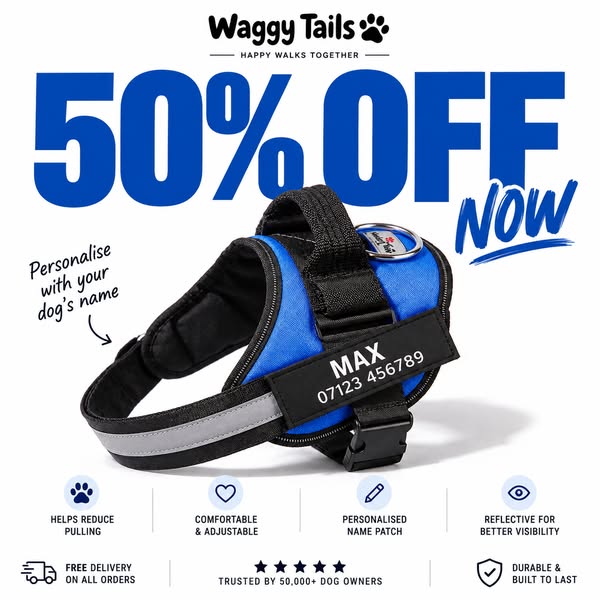 50% Off Dog Harnesses
