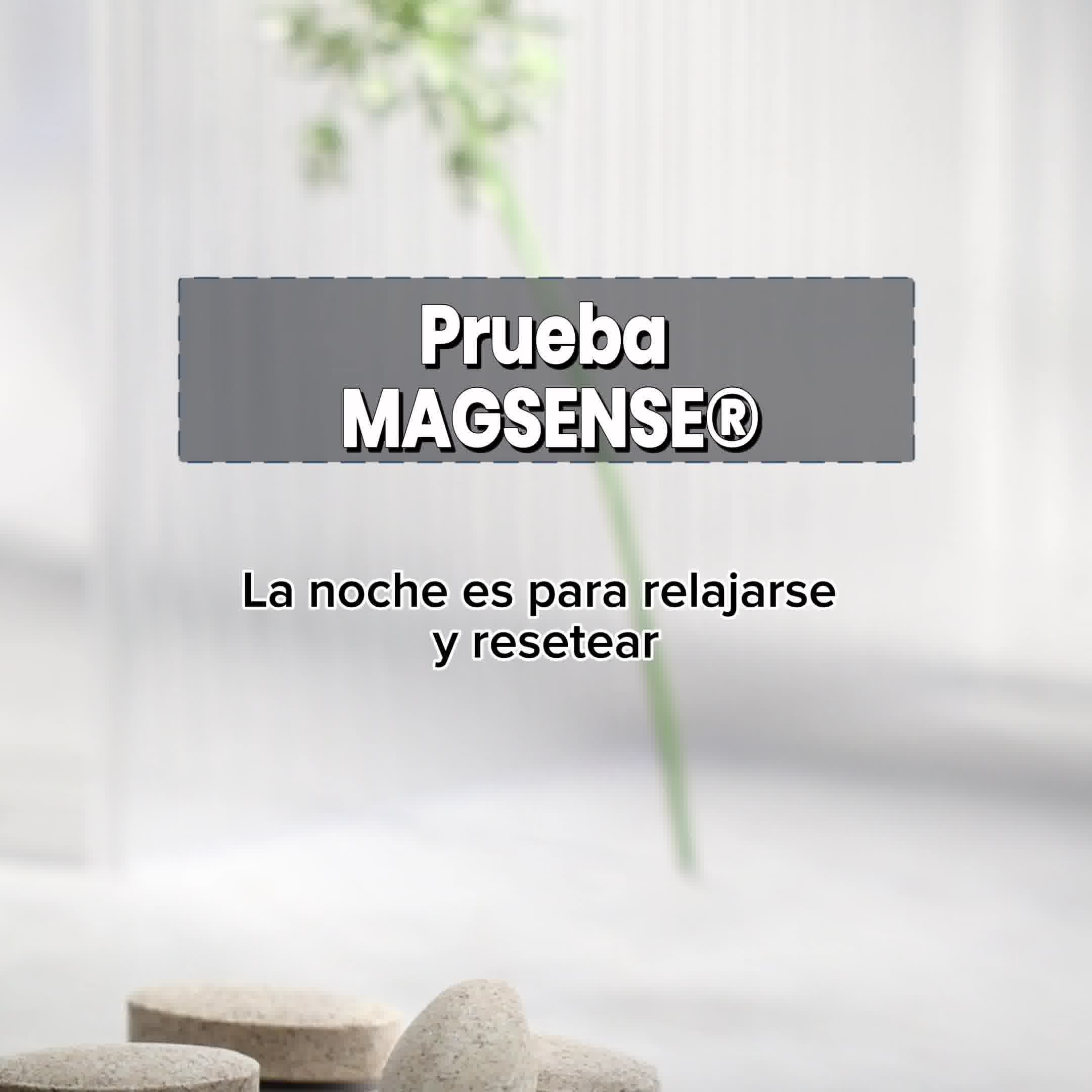 MAGSENSE