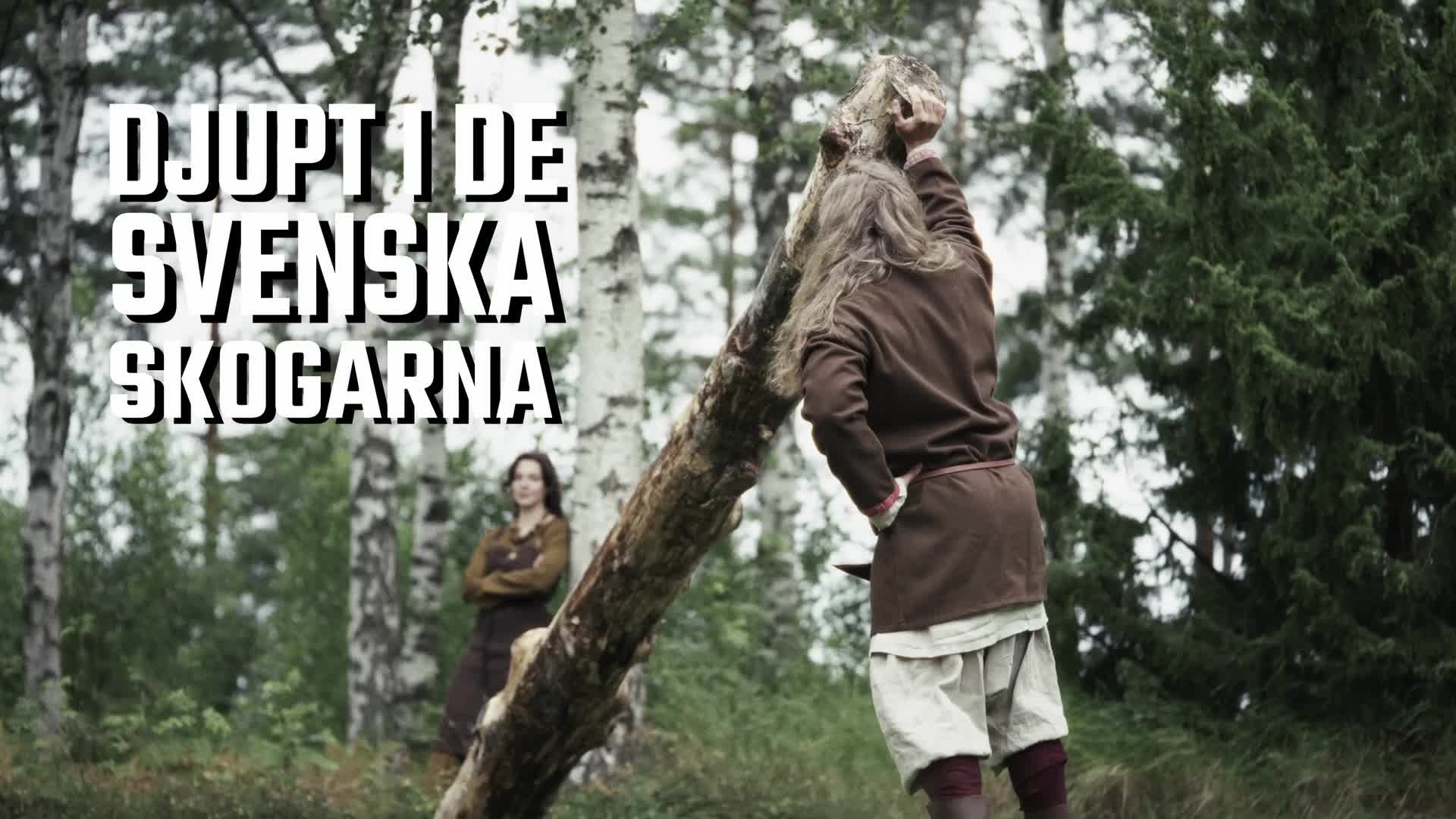 Svenskt gourmetgodis för alla gottegrisar
