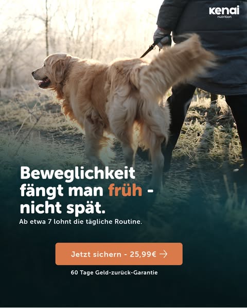 Was steife Gelenke täglich brauchen