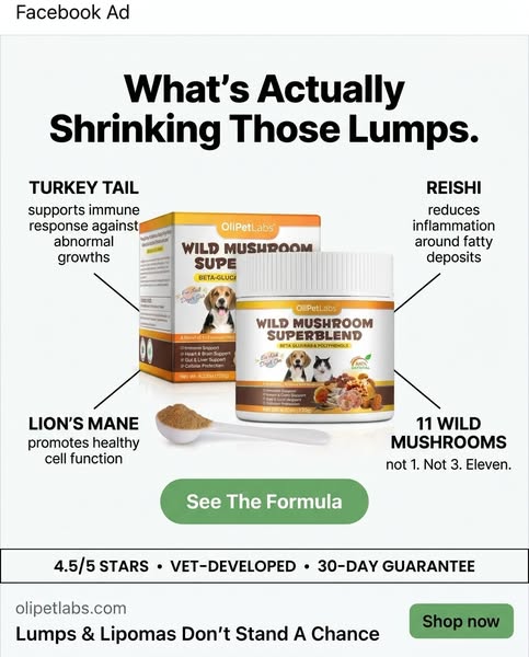 Stop trying to shrink lipomas the wrong way | Buy 2 Get 1 FREE