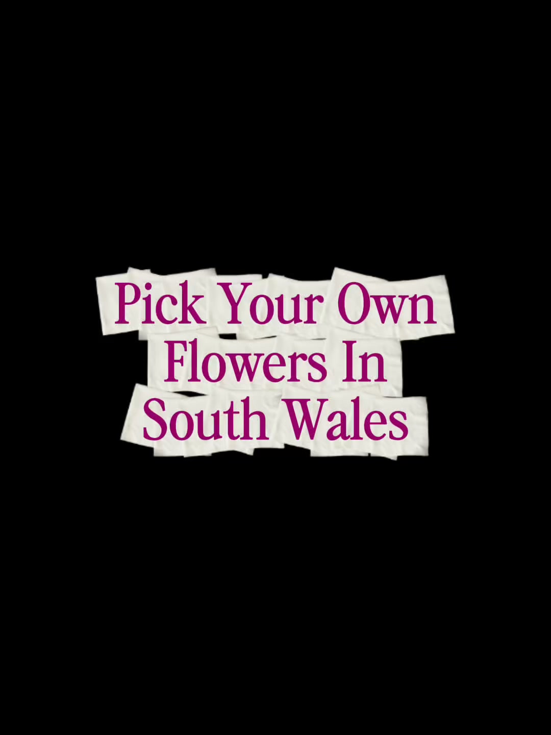 Pick Your Own Summer Bouquet