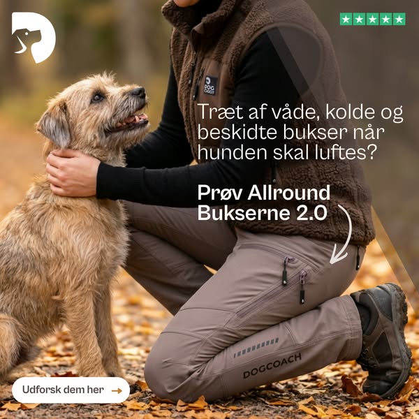 Designet til hundelivet. Stylet til hverdagen.