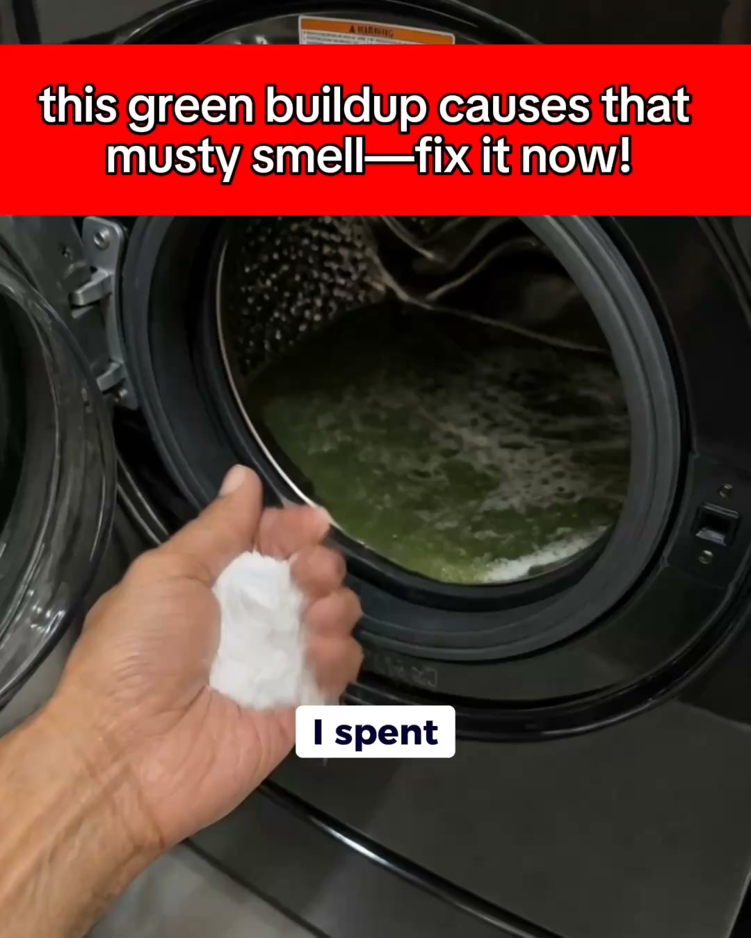 Get Rid of Bacteria & Pet Odour from Your Machine