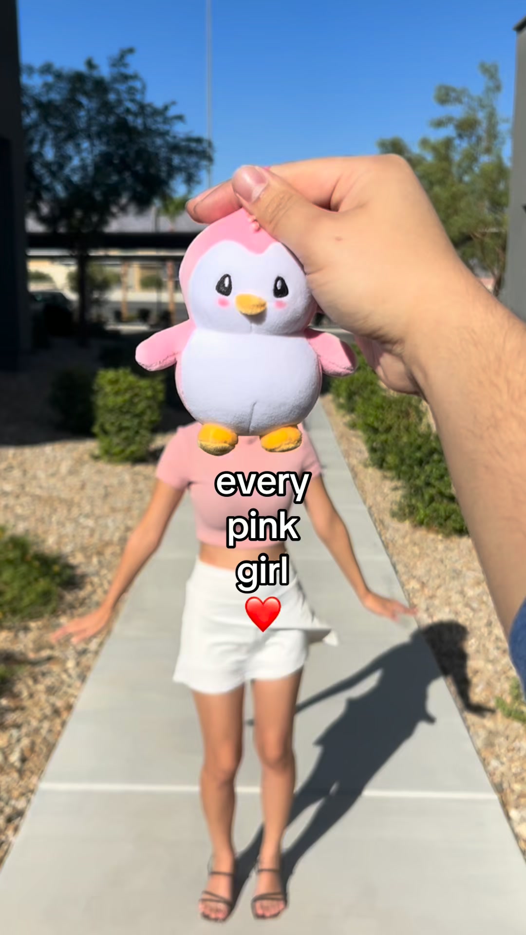 Take Polly Everywhere