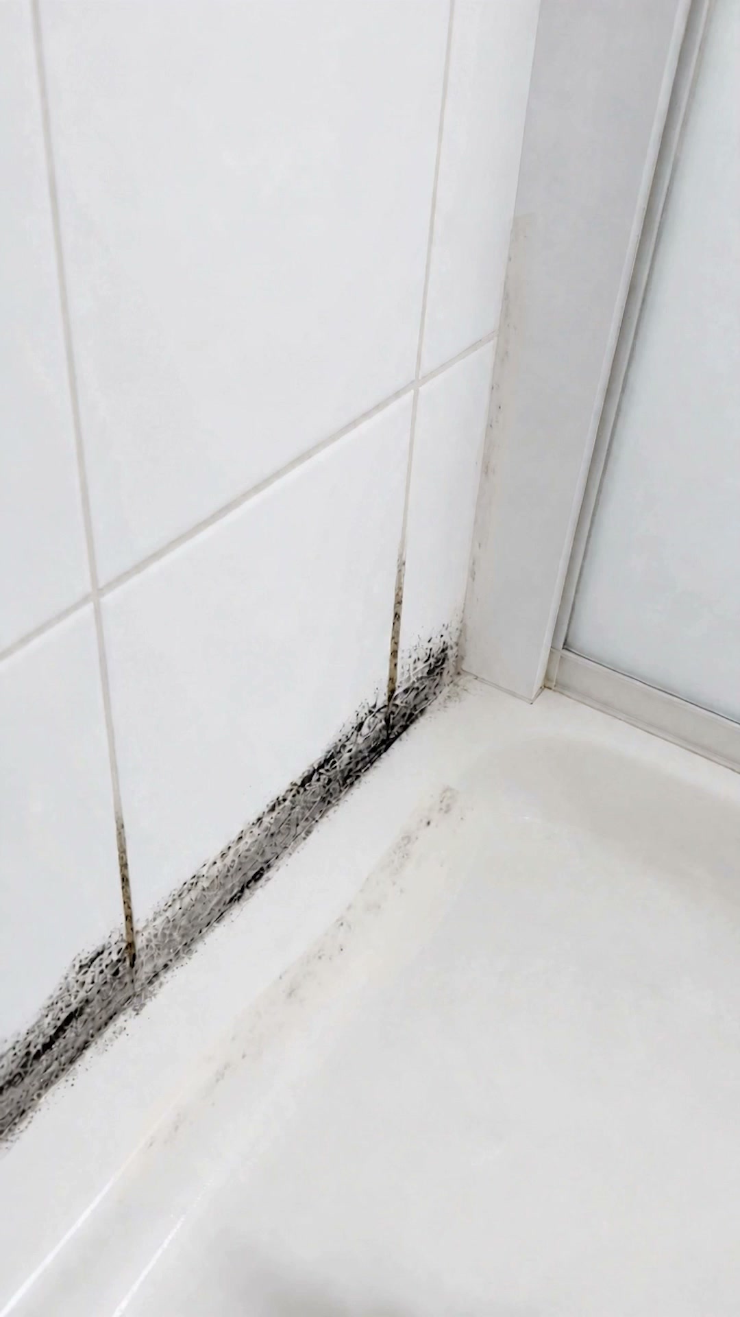 Stubborn Mould? Let the Gel Do It