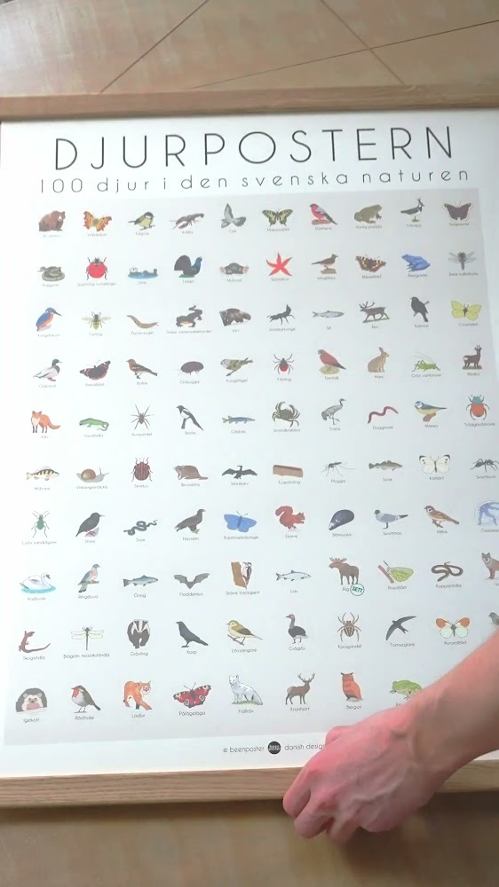 100 djur från Sverige - på en poster
