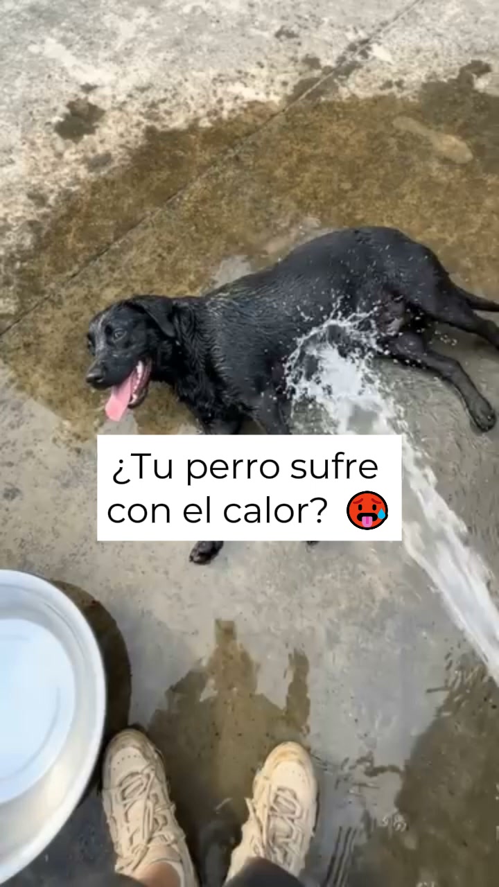 Dale su rincón fresco este verano