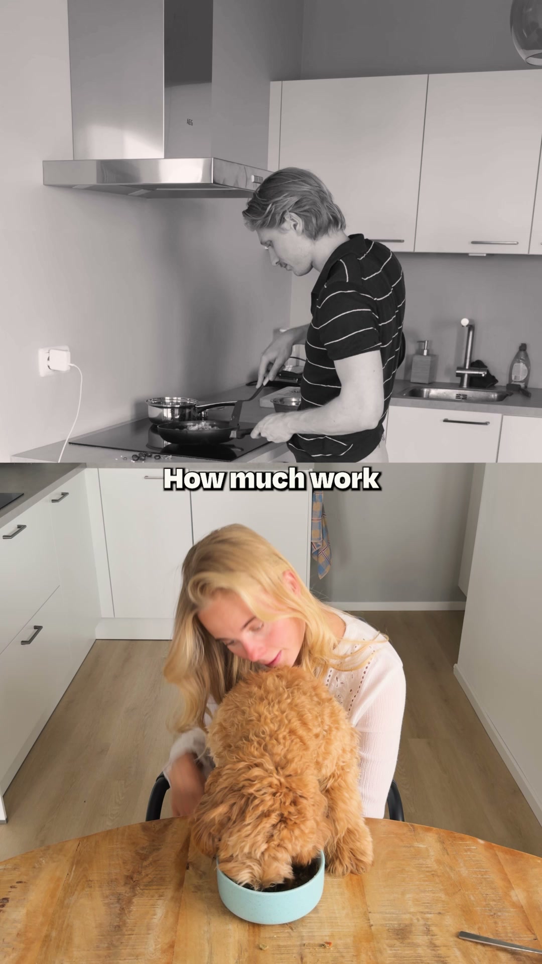 The first fresh dry food