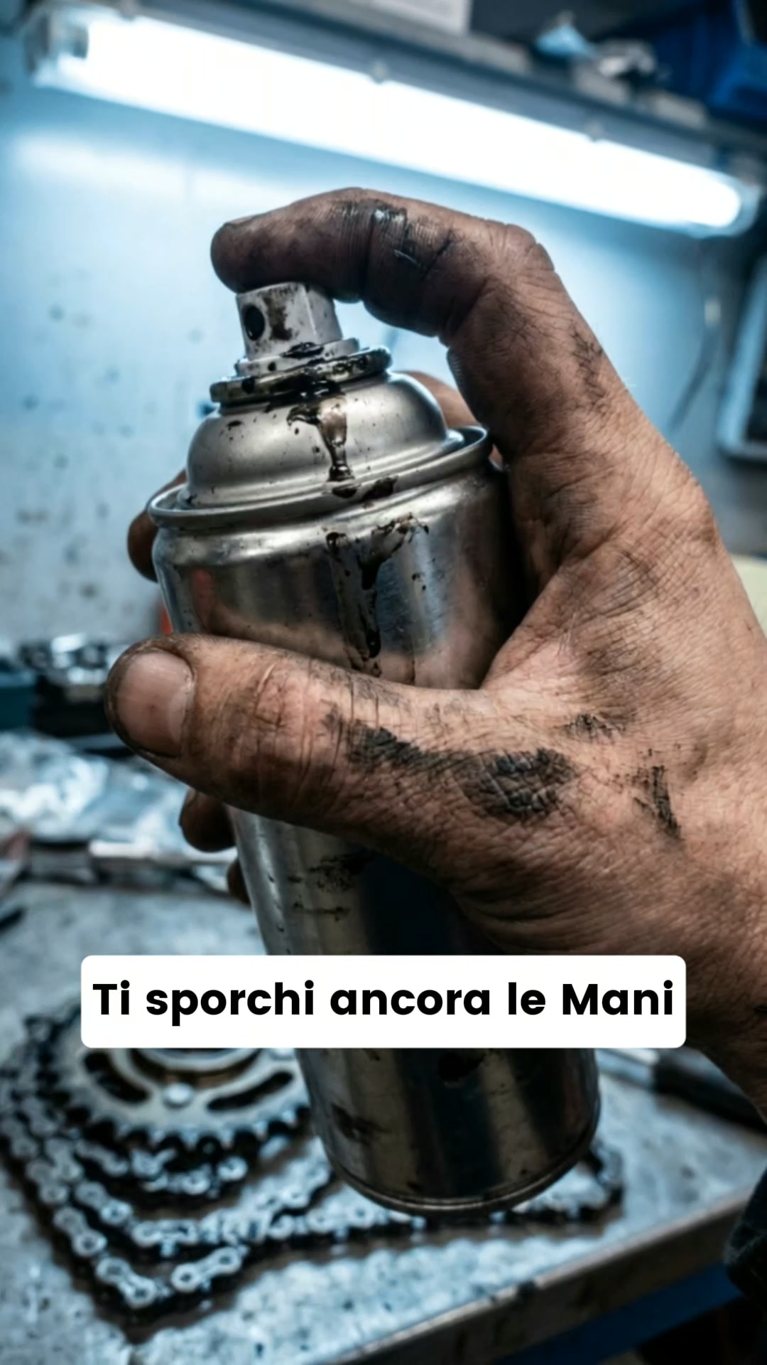 MANUTENZIONE CATENA PERFETTA