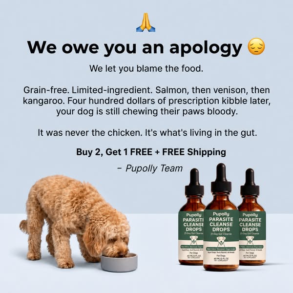Buy 2, Get 1 FREE Today