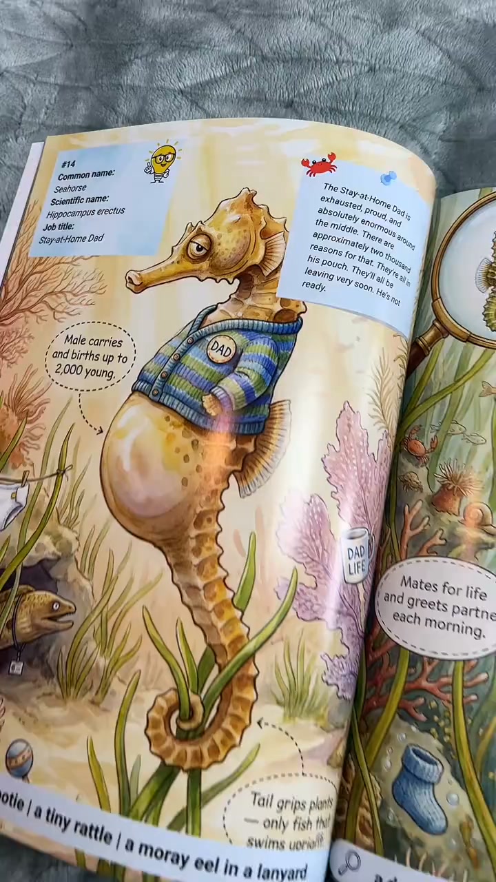 The Seahorse Dad Carries 2,000 Babies