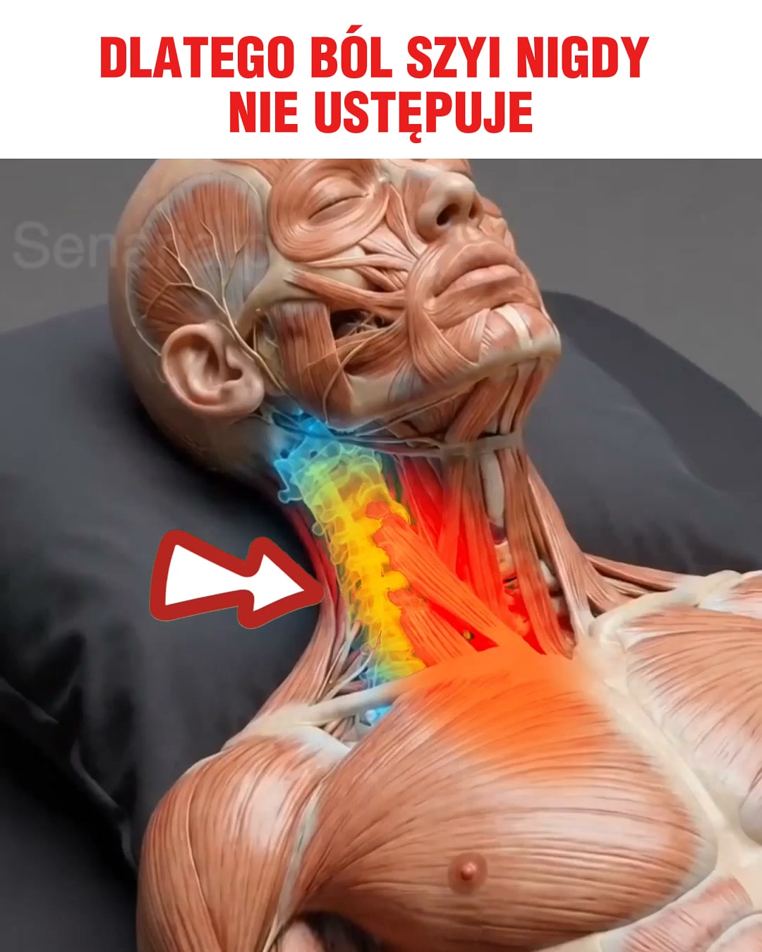 Przeczytaj, jeśli ból szyi nie ustępuje...