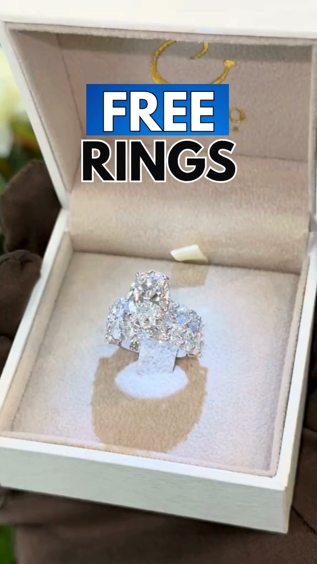 FREE RINGS