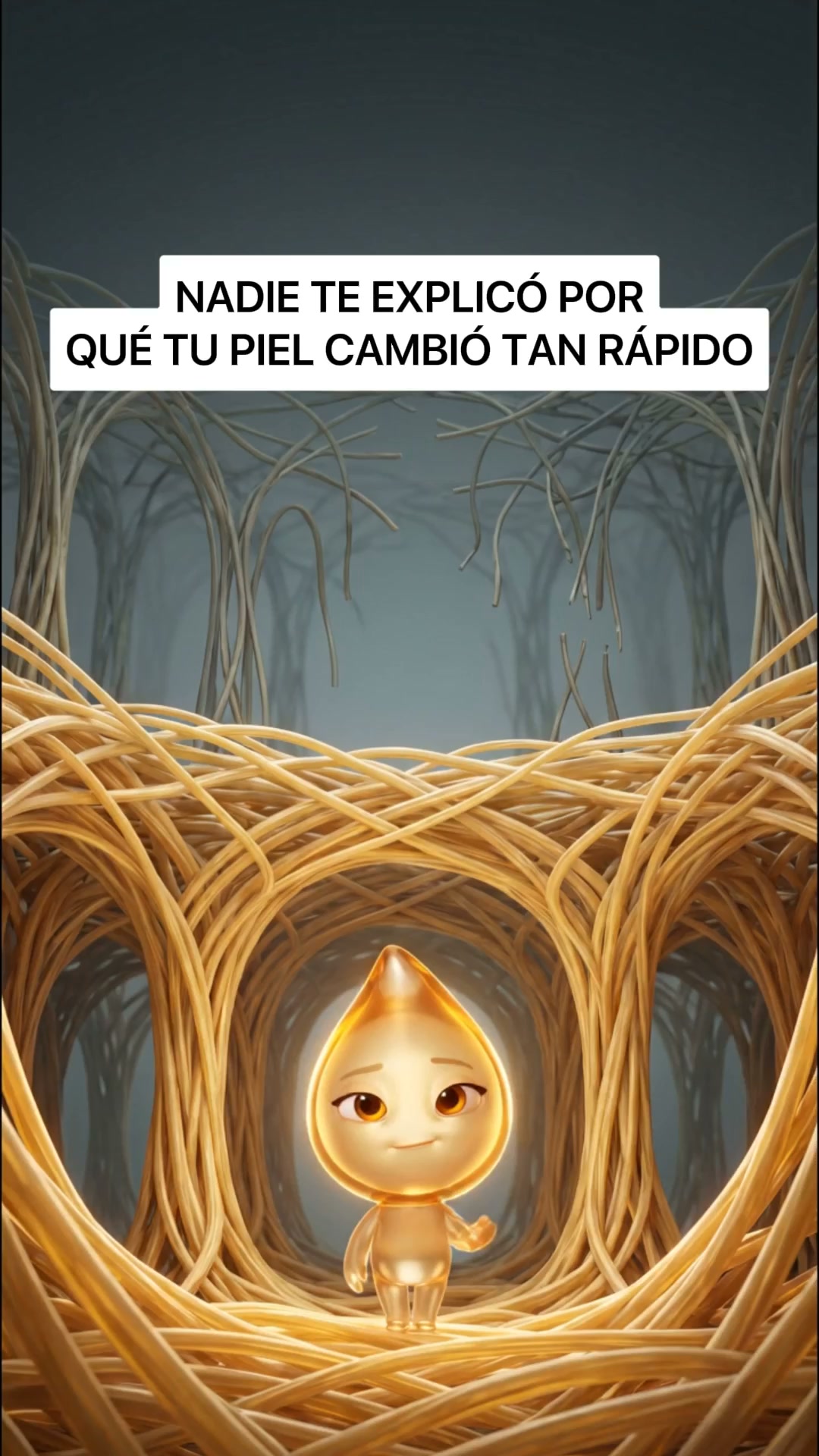 Envío Premium 24/48h.