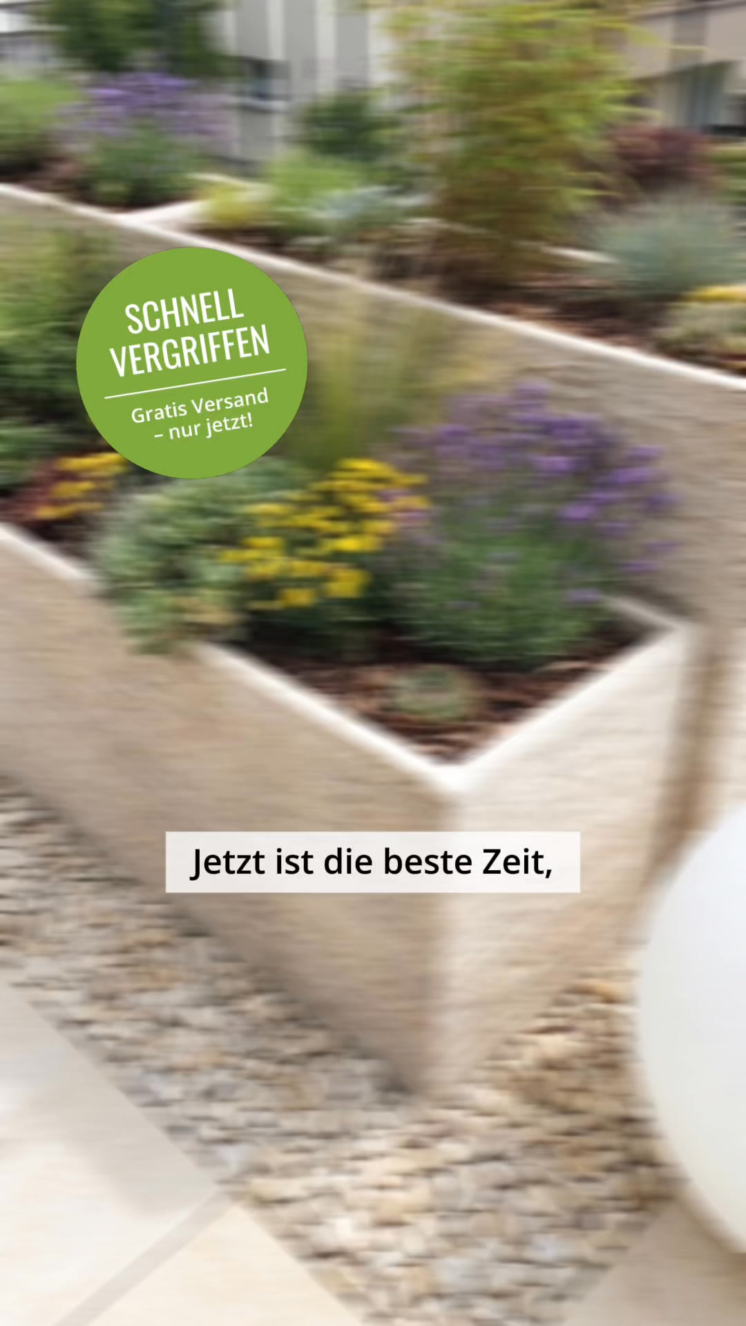 Jetzt ist die beste Zeit