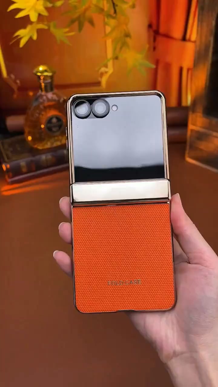 AG Matte Hinge Protection Z Flip Case