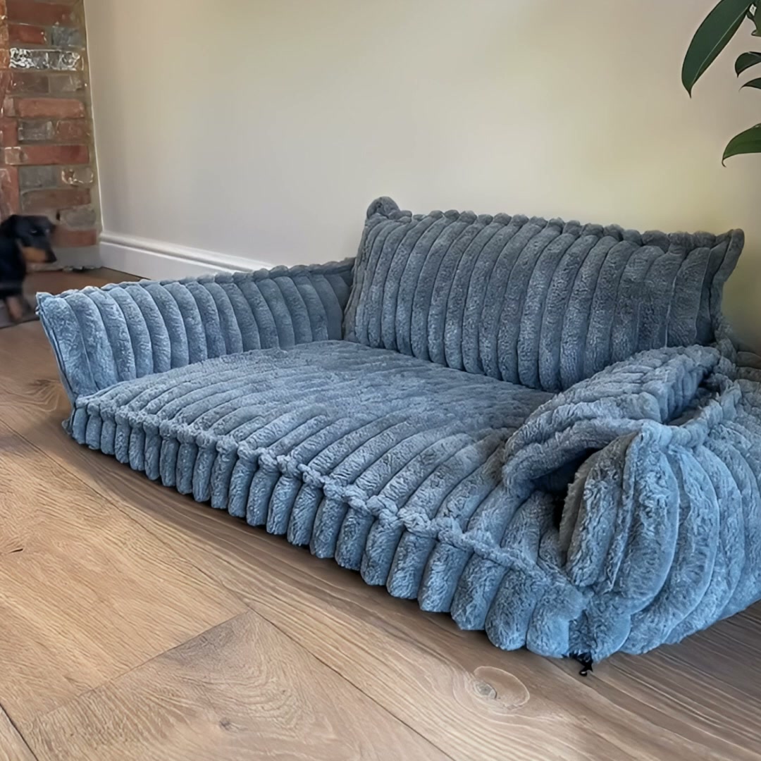 Warum ein weiches Hundebett deinem Hund tatsächlich schaden kann