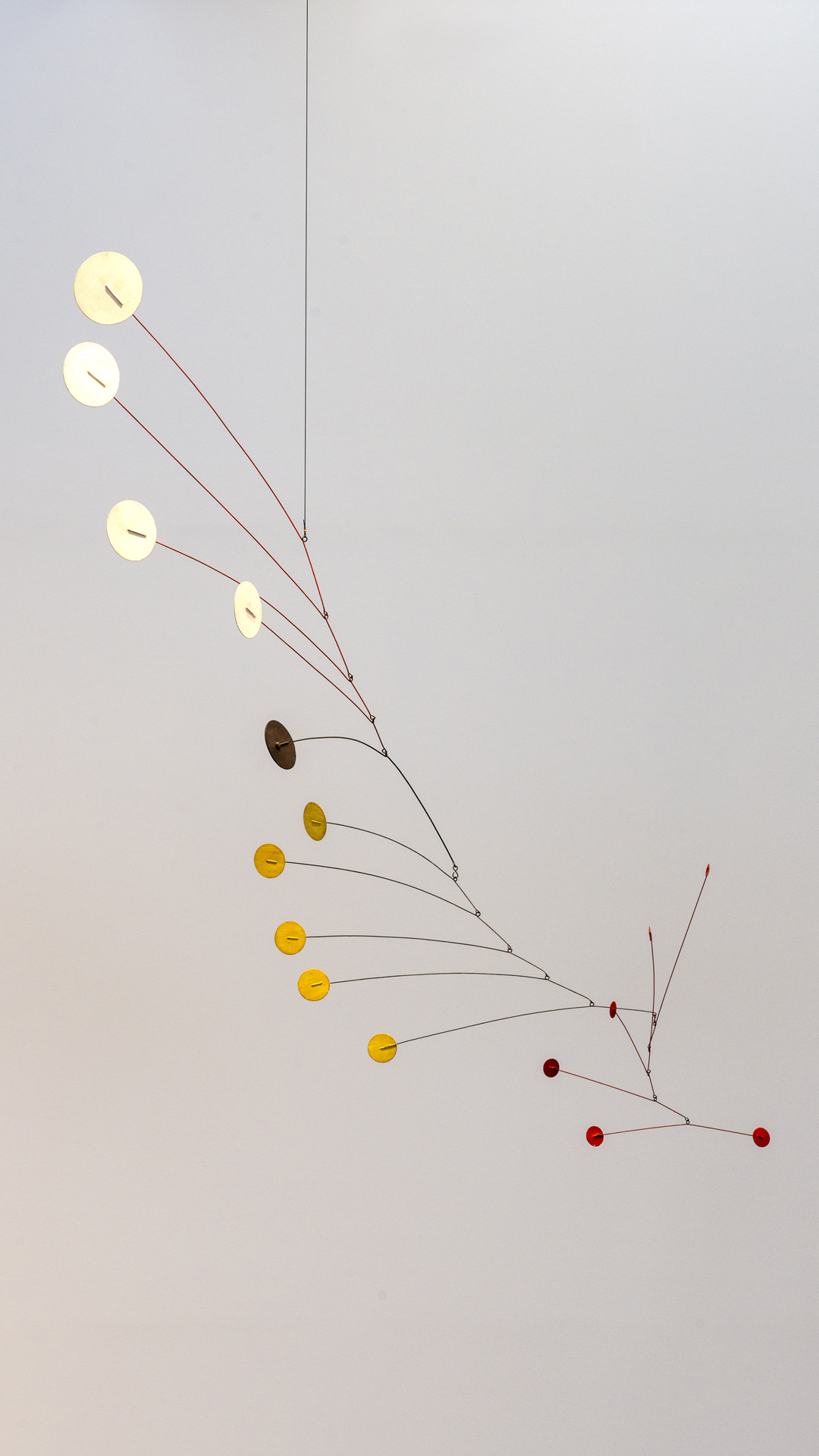 Anúncio de Musée d'art moderne et contemporain Saint-Etienne Métropole