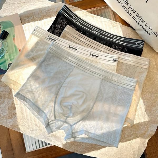 Bold Mesh Underwear for Men