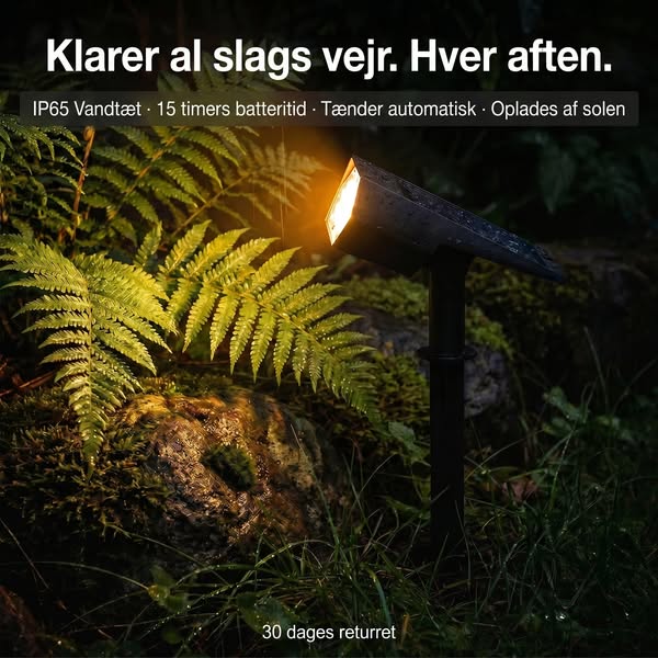 Haven lever videre efter solnedgang.