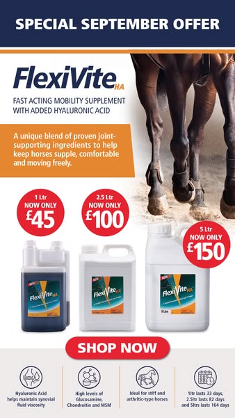 SEPTEMBER OFFER