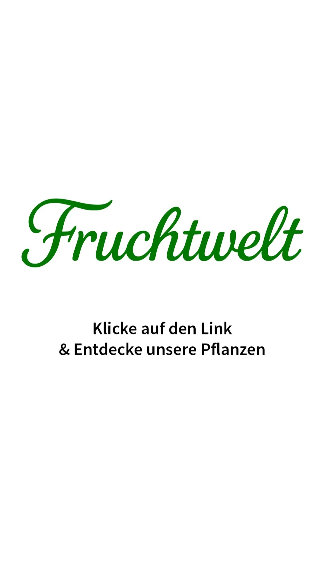 Maulbeeren für deinen Garten