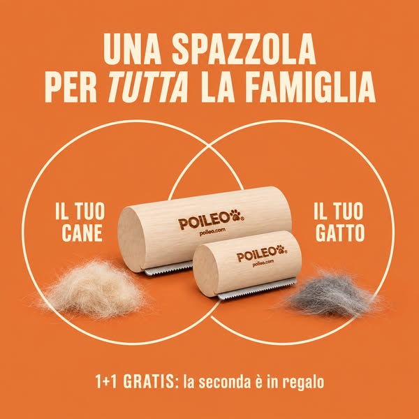 Cane e gatto, una sola spesa