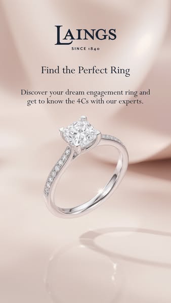 Explore our Collections