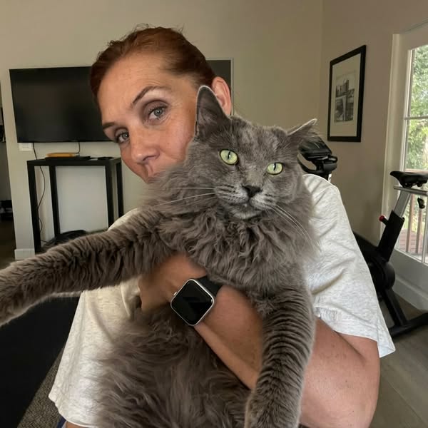 Cat rescue reveals a genius trick for claw care