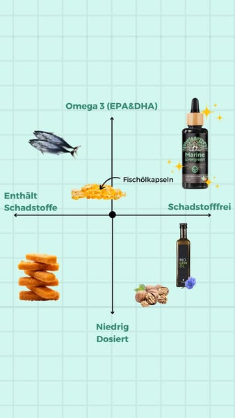 Die BESTE Omega 3 Quelle?