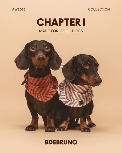 AW26 – Chapter I: new collection