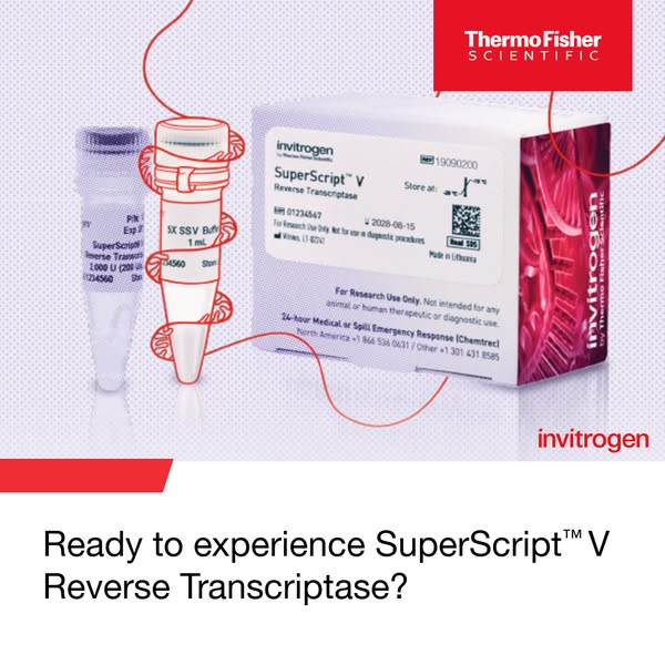 Meet SuperScript™ V Next Generation Reverse Transcriptase